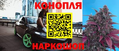 индика Чебоксары