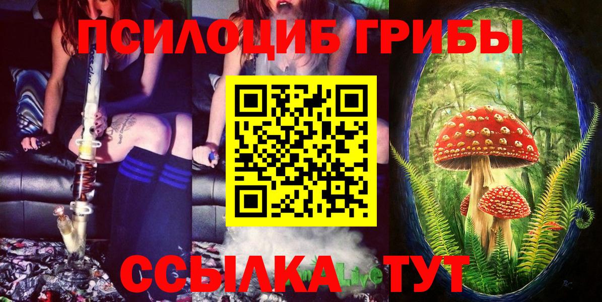Краснознаменск  Галлюциногенные грибы прущие грибы  Вход с VPN 